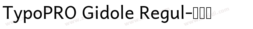 TypoPRO Gidole Regul字体转换